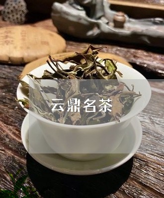 云鼎名茶/2023090167371