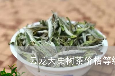 云龙大栗树茶价格等级/2023092150504