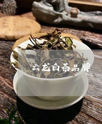 云龙白茶品牌/2023051287262