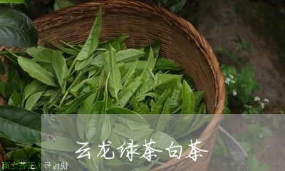 云龙绿茶白茶/2023051238258