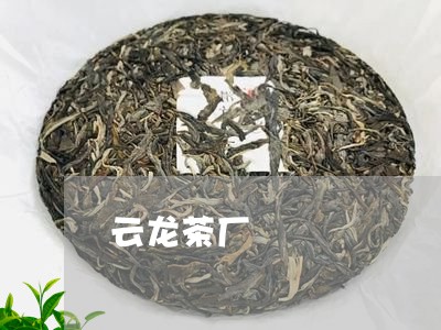 云龙茶厂/2023090191714