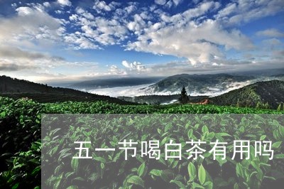 五一节喝白茶有用吗/2023081240514