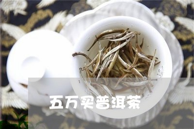 五万买普洱茶/2023042664677