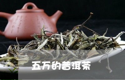 五万的普洱茶/2023042863438