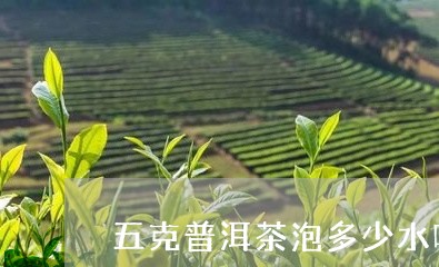 五克普洱茶泡多少水喝合适/2023112584946