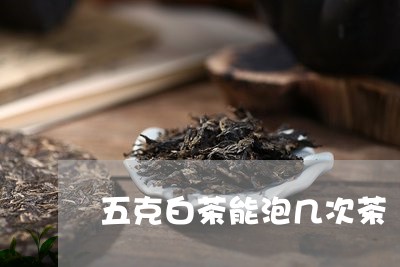 五克白茶能泡几次茶/2023071537368