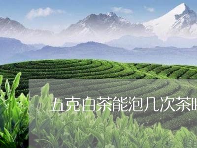 五克白茶能泡几次茶喝/2023092624061