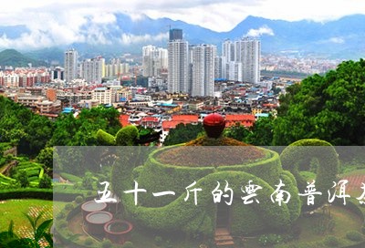 五十一斤的云南普洱茶图片/2023082879404