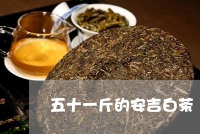 五十一斤的安吉白茶/2023121634735