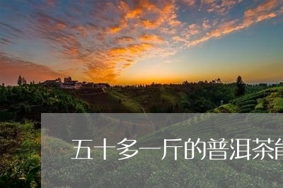 五十多一斤的普洱茶能喝吗/2023051148360