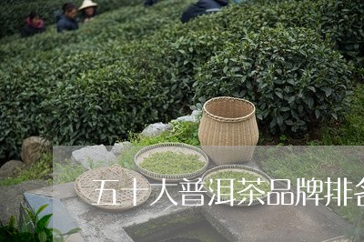 五十大普洱茶品牌排名前十/2023082836148