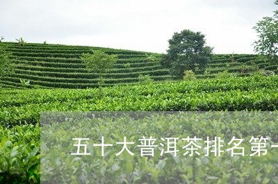 五十大普洱茶排名第一名/2023082814059