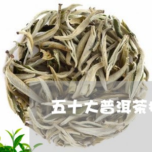 五十大普洱茶排行第一是哪一年/2023110527271