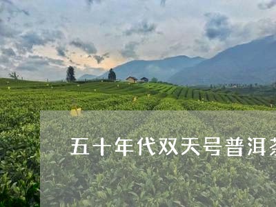 五十年代双天号普洱茶/2023061473049