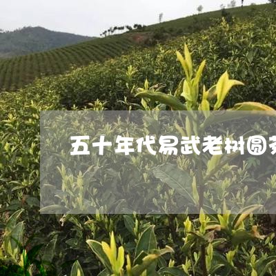 五十年代易武老树圆茶/2023061161706