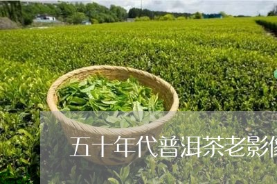 五十年代普洱茶老影像/2023092568671