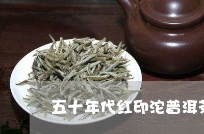 五十年代红印沱普洱茶/2023092503159