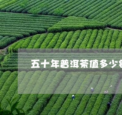 五十年普洱茶值多少钱/2023061441595