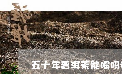 五十年普洱茶能喝吗有毒吗/2023082749684