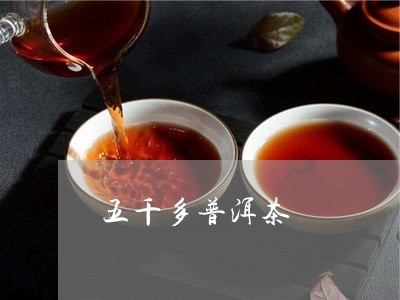 五千多普洱茶/2023042728984