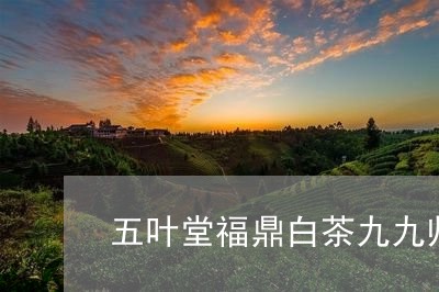 五叶堂福鼎白茶九九归一/2023092142795