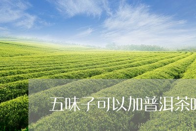 五味子可以加普洱茶吗百度/2023112425048