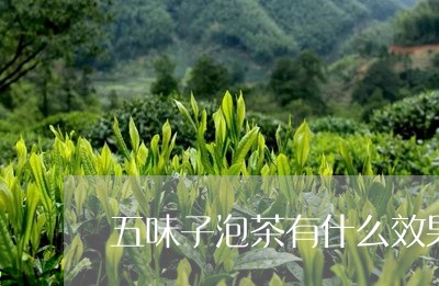 五味子泡茶有什么效果/2023071582725