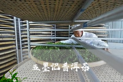 五墨记普洱茶/2023042543603