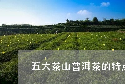 五大茶山普洱茶的特点是/2023082444937