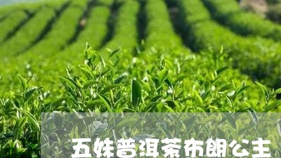 五妹普洱茶布朗公主/2023100690302