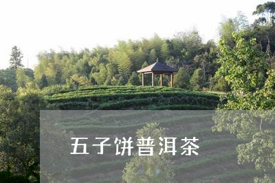 五子饼普洱茶/2023090670404