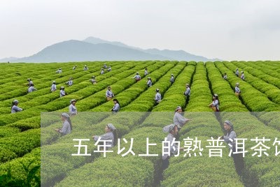 五年以上的熟普洱茶饼/2023092794969