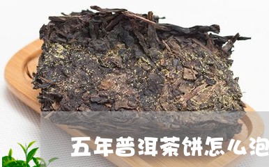 五年普洱茶饼怎么泡/2023091559582