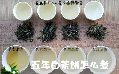 五年白茶饼怎么煮/2023061419493