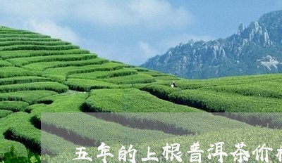 五年的上根普洱茶价格/2023092792513