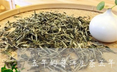 五年的普洱生茶五年熟普洱茶饼价格/2023060314928