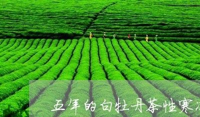 五年的白牡丹茶性寒凉吗/2023092432715