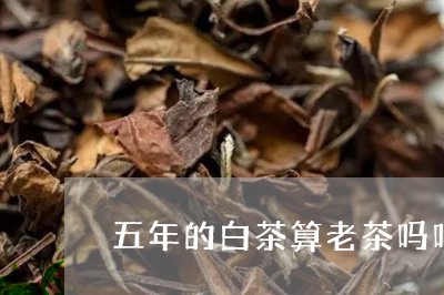 五年的白茶算老茶吗吗/2023092626352