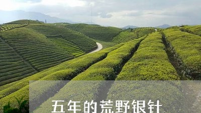 五年的荒野银针/2023112507259