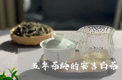 五年茶龄的安吉白茶/2023121637360