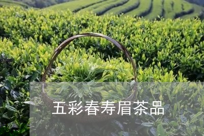 五彩春寿眉茶品/2023112494048