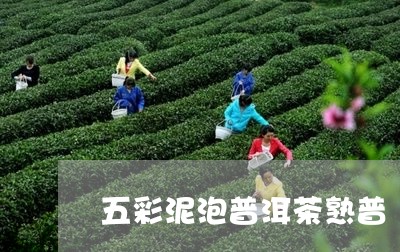 五彩泥泡普洱茶熟普/2023061464140