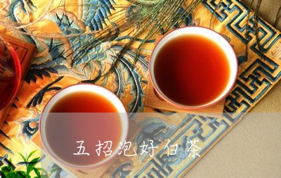 五招泡好白茶/2023073057262