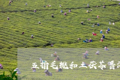 五指毛桃和土茯苓普洱茶/2023082764838