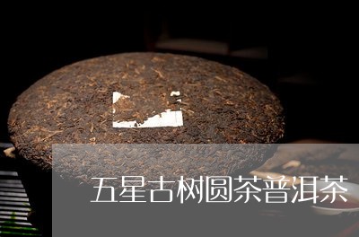 五星古树圆茶普洱茶/2023112555836