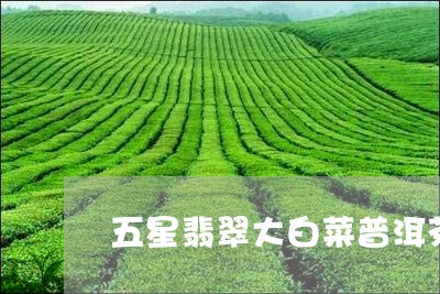 五星翡翠大白菜普洱茶/2023092772694