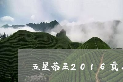 五星茶王2016贡眉/2023092190593