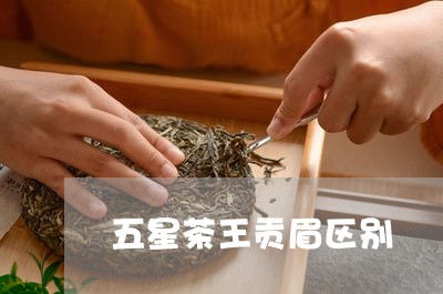 五星茶王贡眉区别/2023061413604