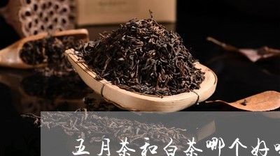 五月茶和白茶哪个好喝/2023092687281