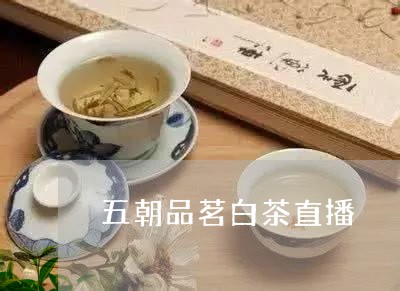 五朝品茗白茶直播/2023061421826